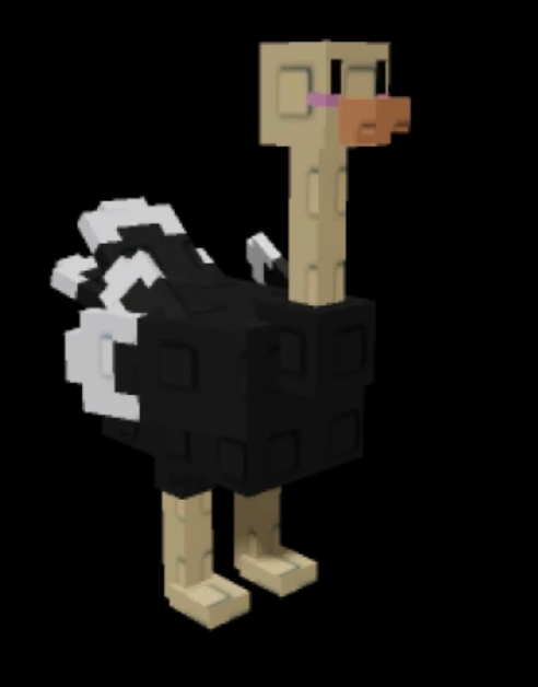 Ostrich