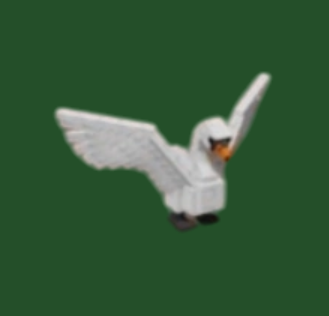 Swan