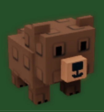 Grizzly Bear